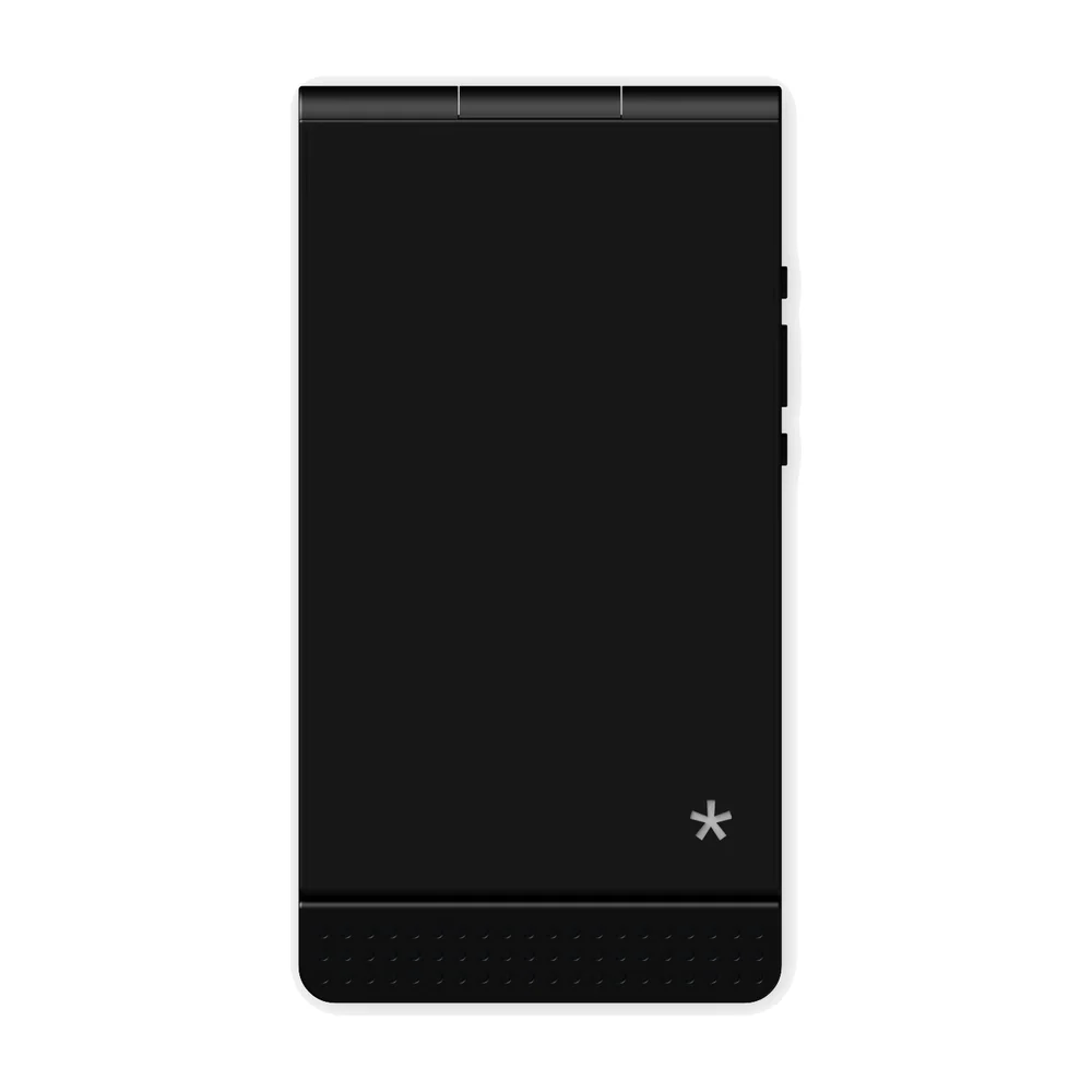 Light Flip on a white background